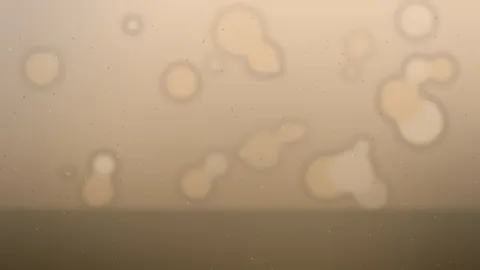La pieza central de verdura ha dejado de ser un apaño