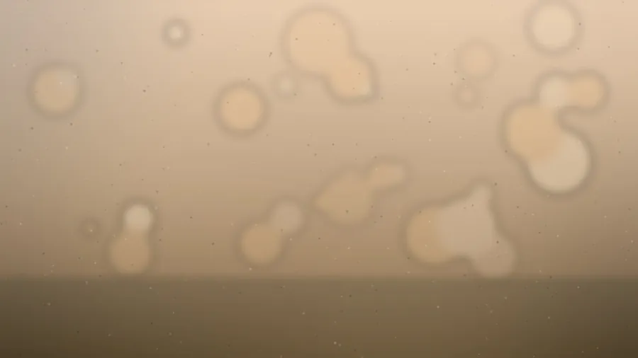 La pieza central de verdura ha dejado de ser un apaño
